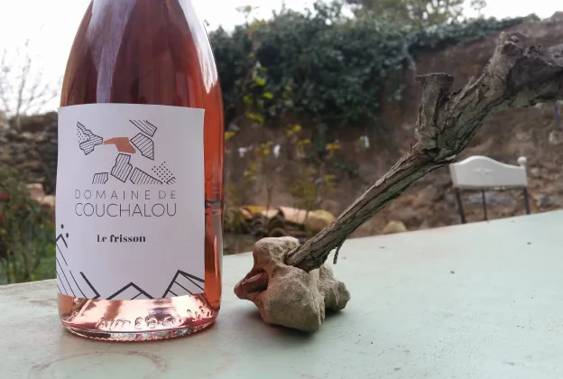 degustation de vins de corbières à Fontjoncouse près de Narbonne dans l'Aude 11