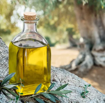 huile d'olive bio à Fontjoncouse près de Narbonne dans l'Aude 11